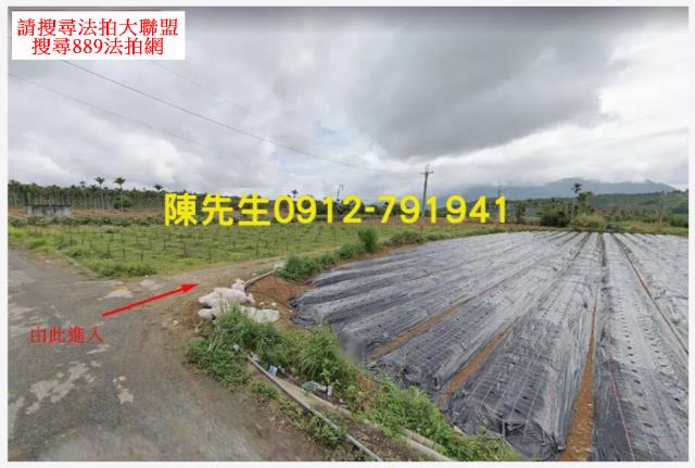 台東卑南農地法拍-2
