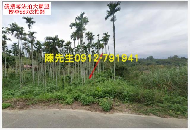 台東卑南拍賣農地-1