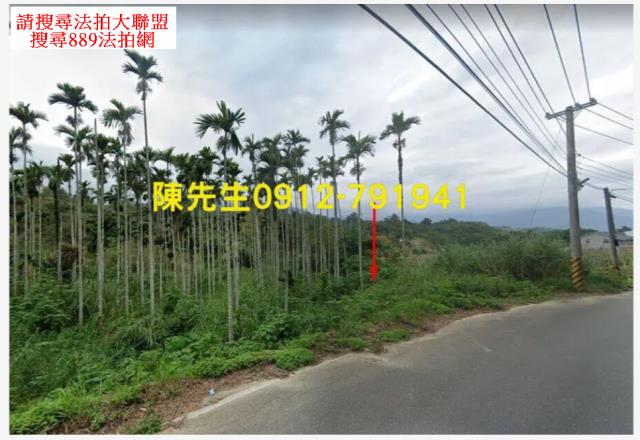 台東卑南拍賣農地-3