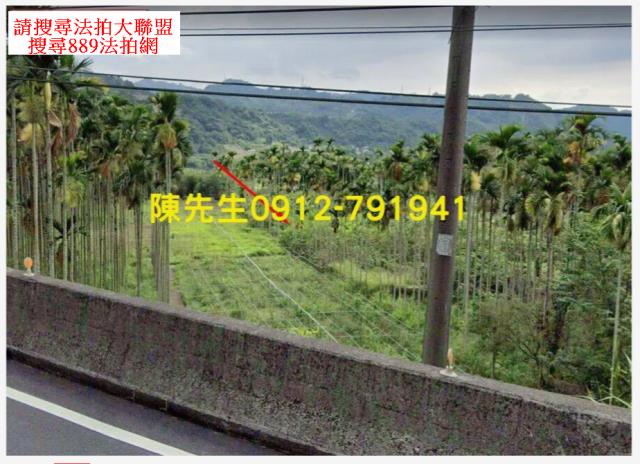 和平農地法拍-10