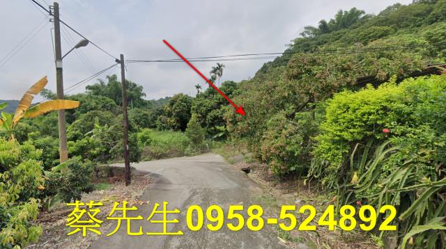台中法拍農地-14