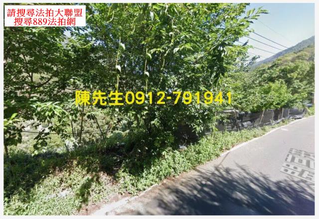 南投信義鄉原住民保留地法拍-11