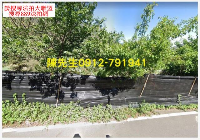 南投信義鄉原住民保留地法拍-12