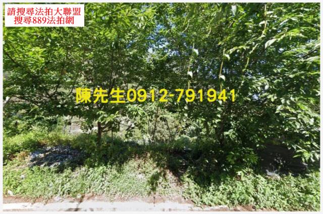南投信義鄉原住民保留地法拍-1