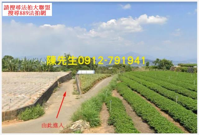 南投名間拍賣農地-10