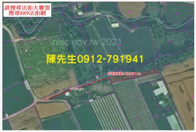 南投名間拍賣農地-13