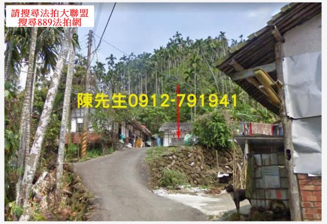 中埔法拍建地-2