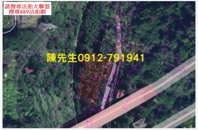 文山區種菜地法拍-5
