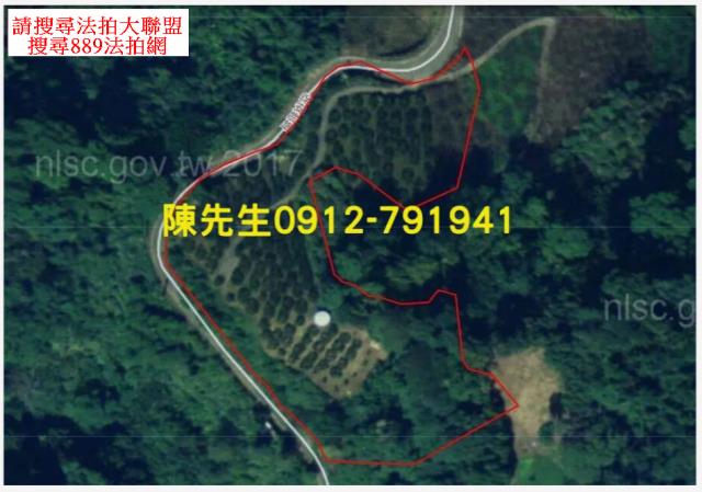 苗栗泰安法拍山坡地-14