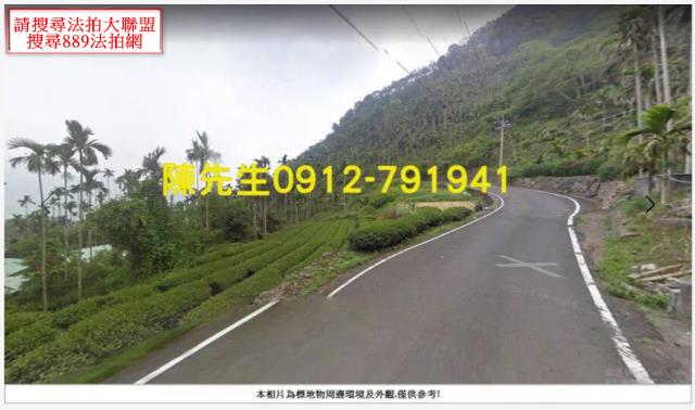 嘉義法拍山坡地-11