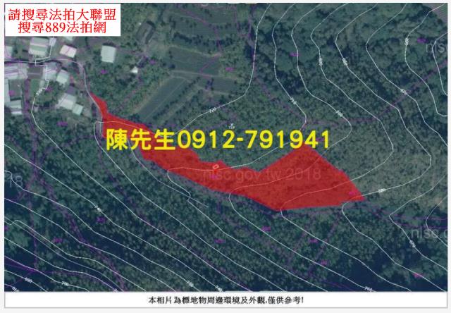 嘉義法拍山坡地-14