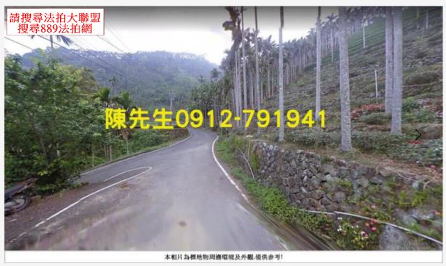 嘉義法拍山坡地-2
