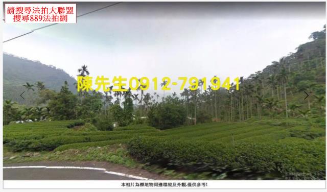 嘉義法拍山坡地-4