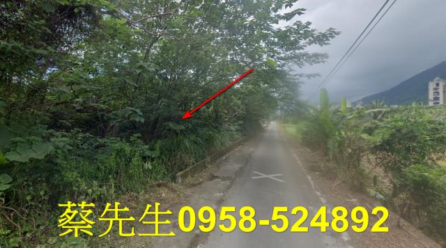 花蓮秀林法拍農地-15