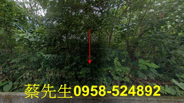 花蓮秀林法拍農地-1