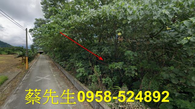 花蓮秀林法拍農地-4