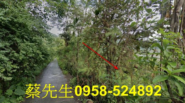 萬榮農地法拍-12