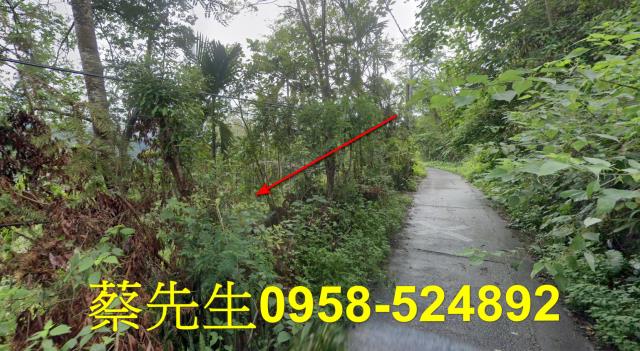 萬榮農地法拍-14