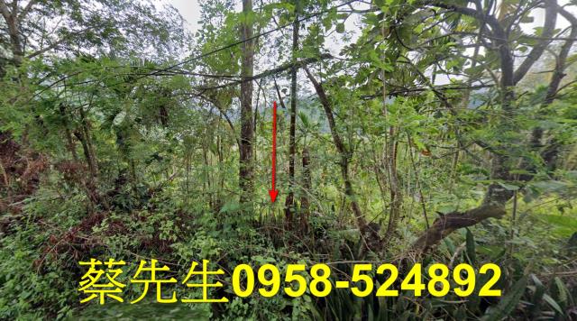 萬榮農地法拍-9