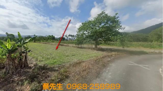 壽豐法拍農地-2