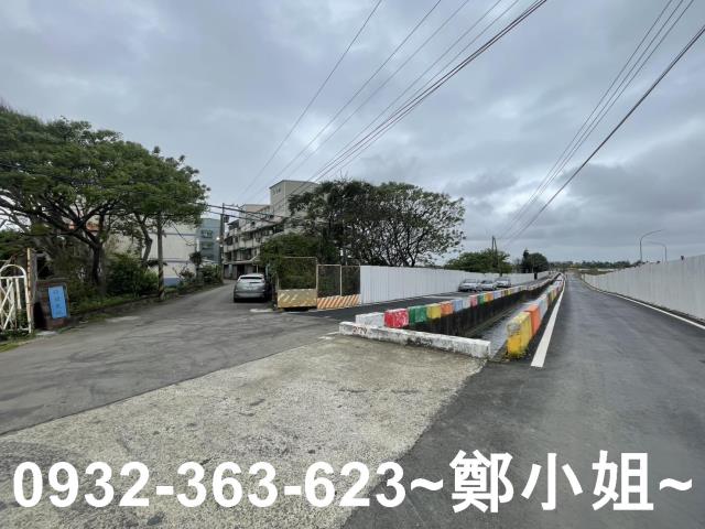 桃園大園建地-2