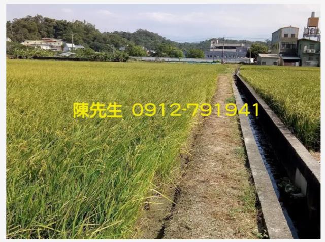 頭份農地-11