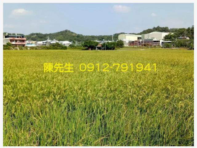 頭份農地-12