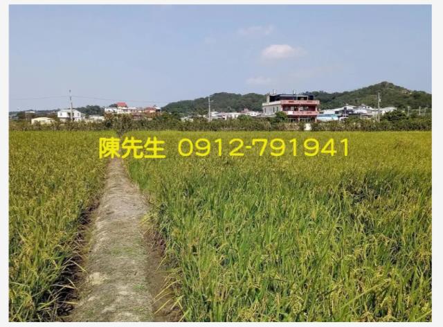 頭份農地-6