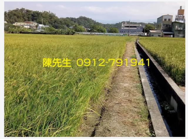 頭份農地-11