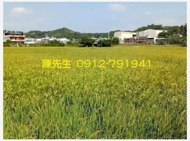 頭份農地-4