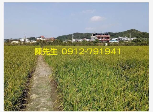 頭份農地-6