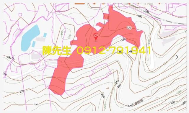 新北拍賣農地-15