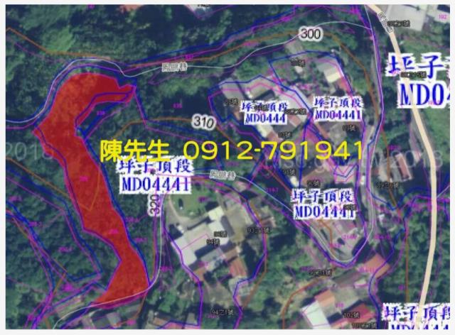 南投鹿谷拍賣農地-11