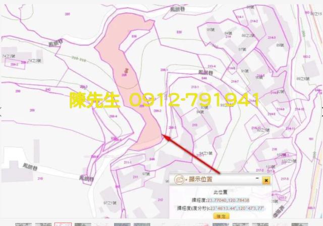 南投鹿谷拍賣農地-14