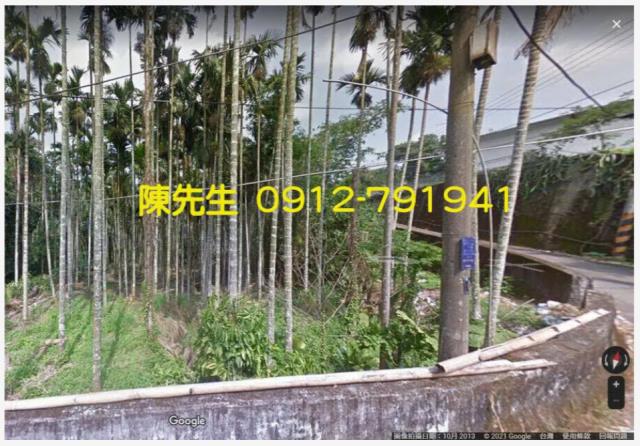 南投鹿谷拍賣農地-1