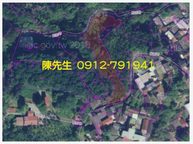 南投鹿谷拍賣農地-6