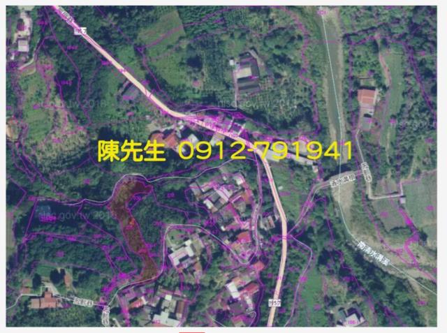 南投鹿谷拍賣農地-7