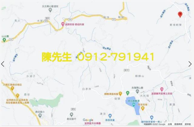 南投鹿谷拍賣農地-9