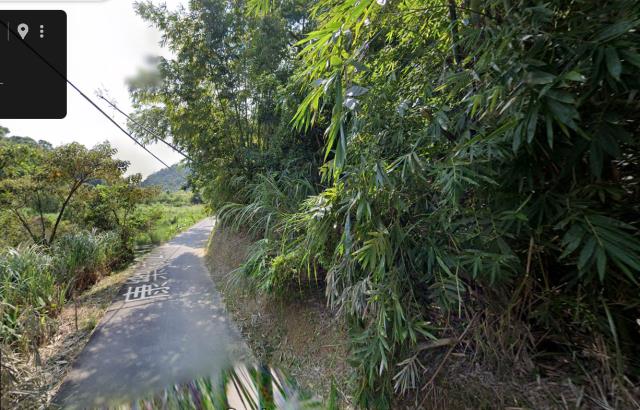 台北法拍種菜地-12