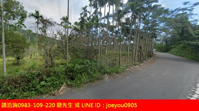 花蓮法拍農地-1