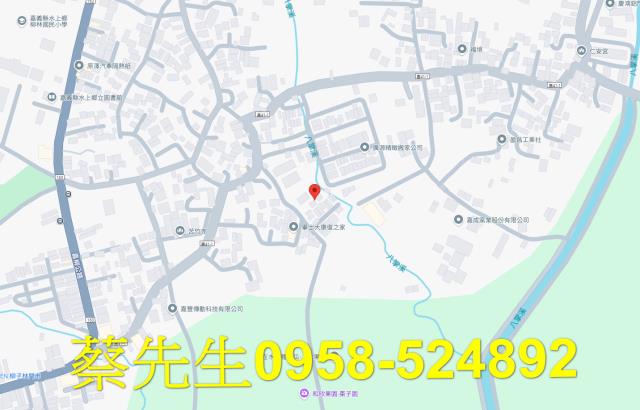 水上建地法拍-8