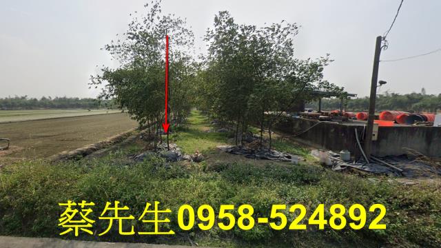 嘉義法拍農地-1