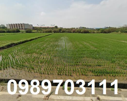 桃園新屋農地-2