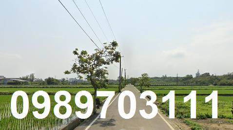 桃園新屋農地-4