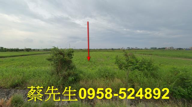 將軍農地法拍-1