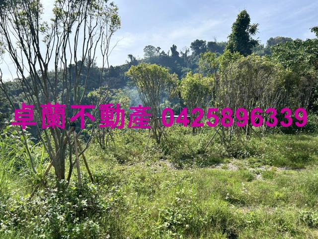 苗栗農地-1