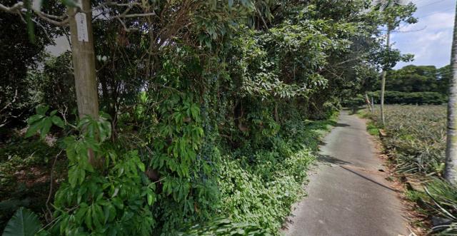 芬園法拍農地-1