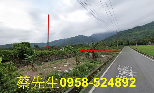 台東海端農地拍賣-14