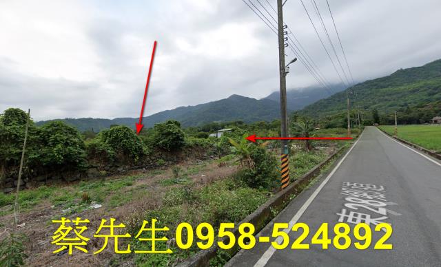 台東海端農地拍賣-15