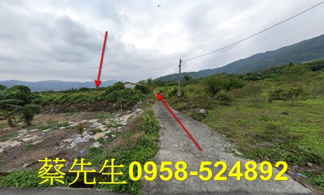 台東海端農地拍賣-1